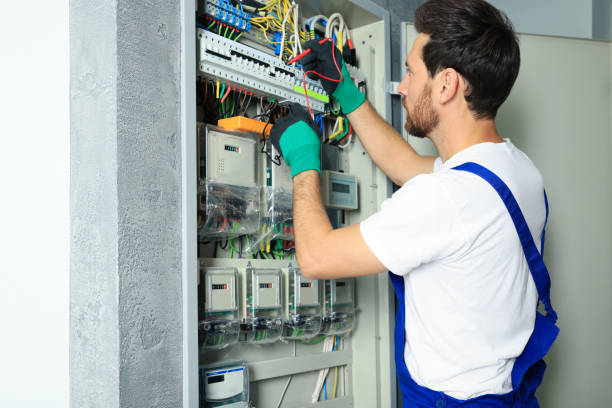Best Electrician for Home Renovation  in Lemont Furnace, PA